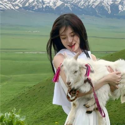 牧师神探第九季