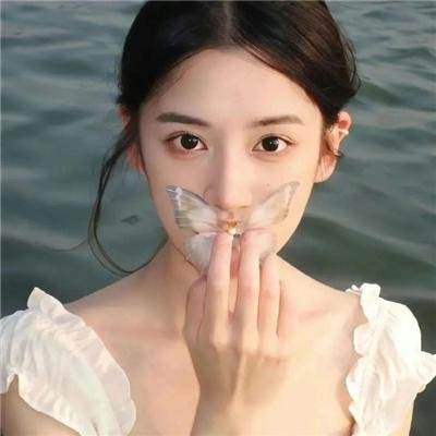 追爱谎言